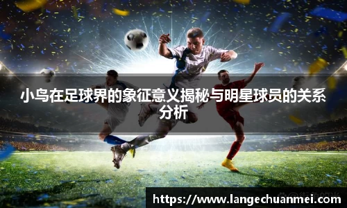 小鸟在足球界的象征意义揭秘与明星球员的关系分析